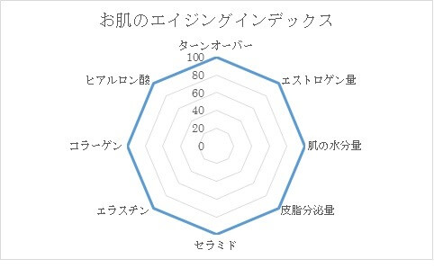 お肌のエイジングインデックス・図