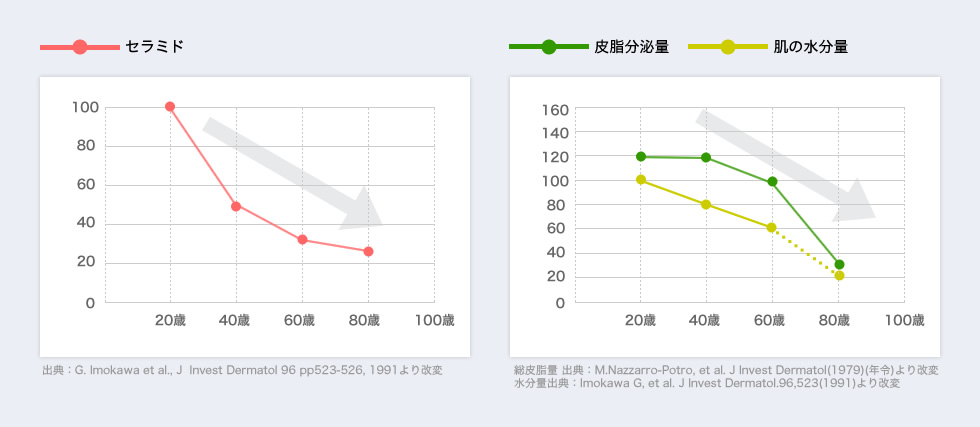 セラミド、皮脂分泌量、肌の水分量