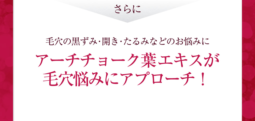 さらに毛穴の黒ずみ･開き･たるみなどのお悩みにアーチチョーク葉エキスが毛穴悩みにアプローチ！