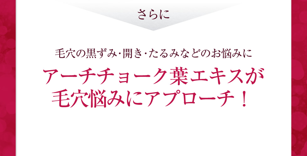 さらに毛穴の黒ずみ･開き･たるみなどのお悩みにアーチチョーク葉エキスが毛穴悩みにアプローチ！