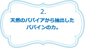 天然のパパイアから抽出したパパインの力。