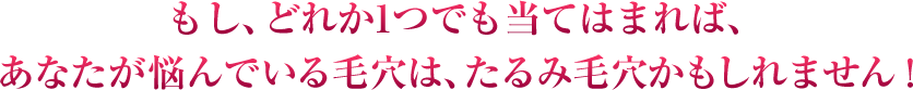 もし、どれかに当てはまれば、あなたが悩んでいる毛穴は、たるみ毛穴かもしれません！