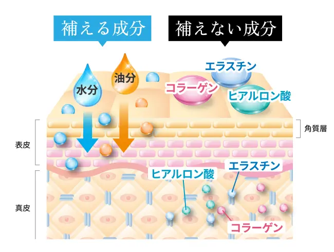 補えない成分・補える成分