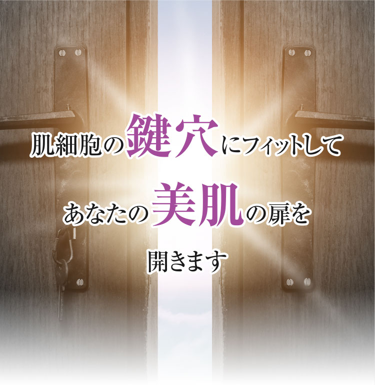 肌細胞の鍵穴にフィットしてあなたの美肌の扉を開きます