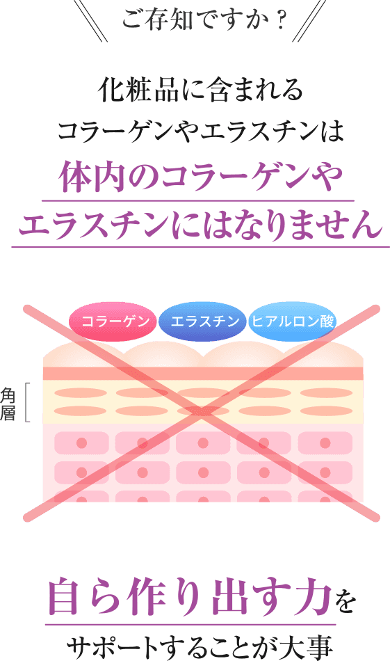 ご存知ですか？化粧品に含まれるコラーゲンやエラスチンは体内のコラーゲンやエラスチンにはなりません。自ら作り出す力をサポートすることが大事