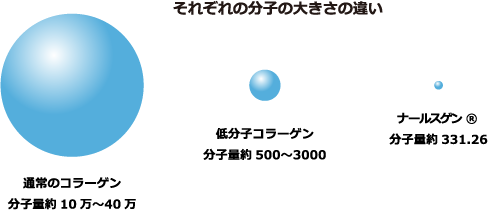 それぞれの分子の大きさの違い