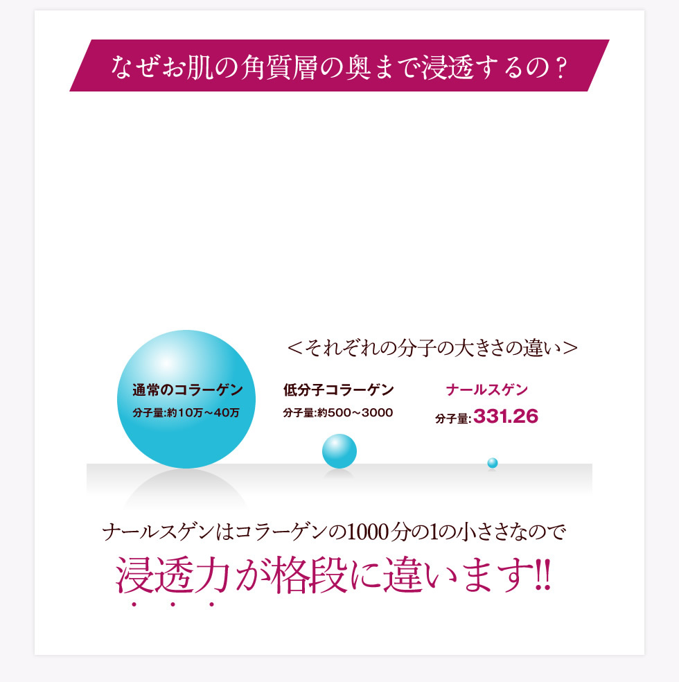 なぜお肌の角質層の奥まで浸透するの？ナールスゲンはコラーゲンの1000分の1の小ささなので浸透力が格段に違います!!