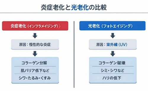 炎症老化と光老化の違いの図