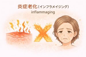 炎症老化のイメージ