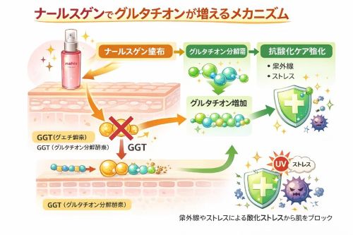 ナールスゲンでグルタチオンが増えるイメージ