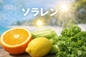 ソラレンのイメージ写真