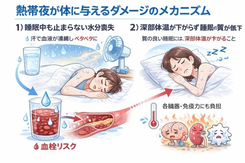 熱帯夜が体にダメージを与えるメカニズム