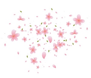 春の5Kの一つの桜