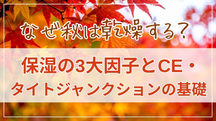 秋に乾燥するのはなぜ？三大保湿因子、CEやタイトジャンクション