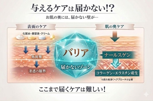 与えるケアの限界と肌の奥のケアを示すイラスト