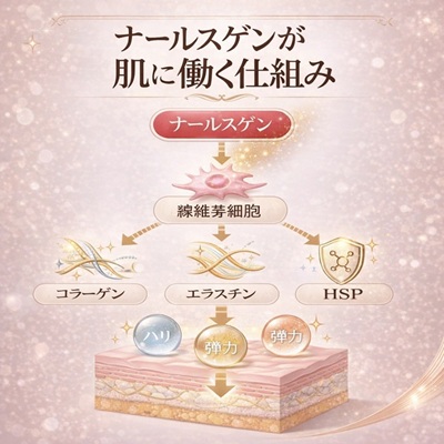 ナールスゲンの作用メカニズム