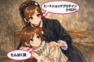 シャペロンとたんぱく質の関係