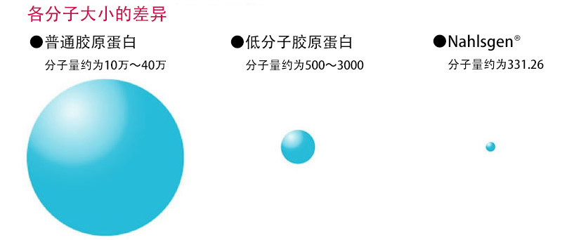 各分子大小的差异