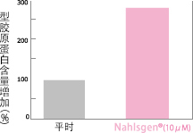 I型胶原蛋白的生成量