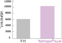 HSP47的生成量