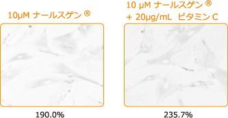 コラーゲン