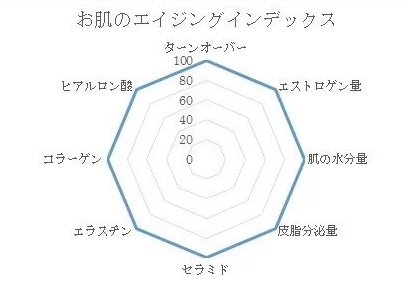 お肌のエイジングインデックス