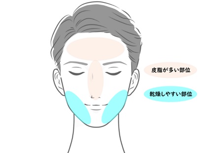  皮脂が多い部位と乾燥しやすい部位