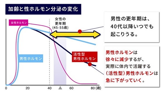 加齢と性ホルモンの変化