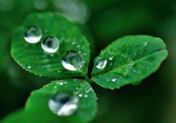 保湿や潤いをイメージする水の写真