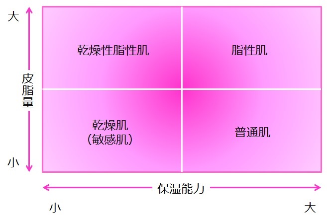 肌質タイプの図