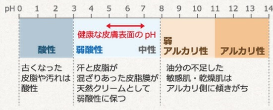 表皮の表面のｐH値