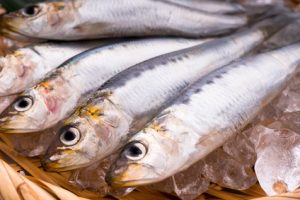 コラーゲンの由来である魚