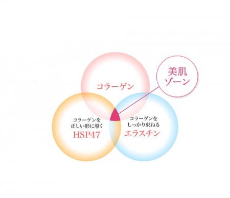 ナールスゲンのコラーゲン、エラスチン、HSP47への効果の図
