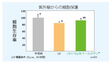 ナールスゲンを添加して紫外線を照射した場合の細胞生存率のグラフ