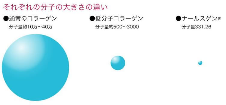 コラーゲンとナールスゲンの分子量の比較図