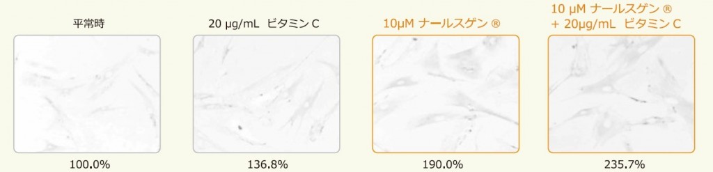 ナールスゲンとビタミンCとの相乗効果