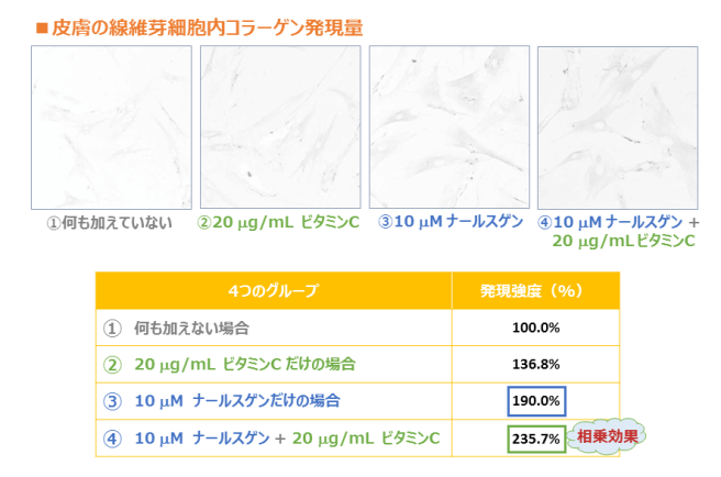 ナールスゲンとビタミンCの相乗効果を示す写真と表