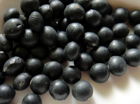 セラミドを豊富に含んだ黒豆