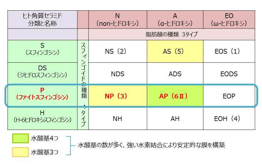 ヒト型セラミドの種類の図
