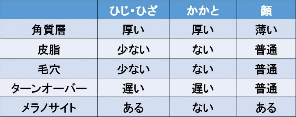 ひじ・ひざ・かかと・顔の特徴の表