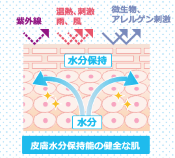 皮膚水分保持能の健全な肌