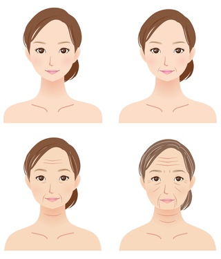 20代、30代、40代、50代のほうれい線の図