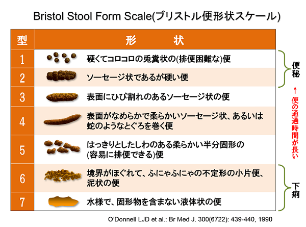 ブリストル便形状スケールの表
