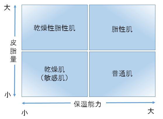 肌質の分類表