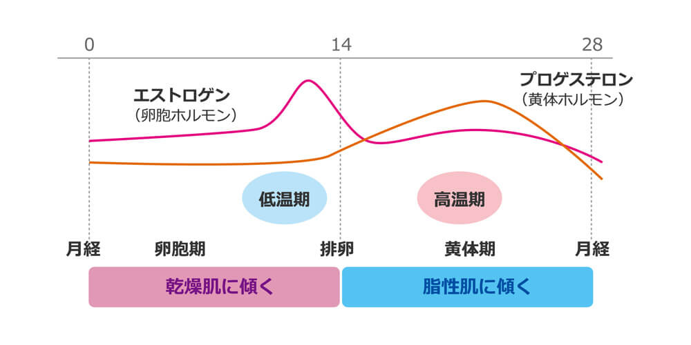 女性ホルモンの分泌量
