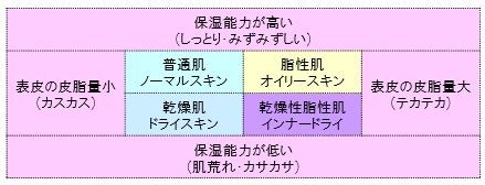 お肌の質・タイプの分類の図