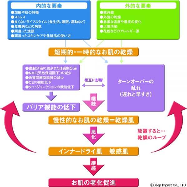 乾燥肌が進むメカニズムの図