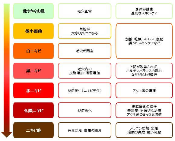 大人ニキビの進行・症状をまとめた図表