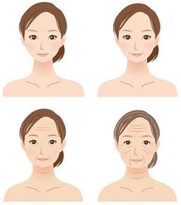 普通肌の女性が老化したイラスト