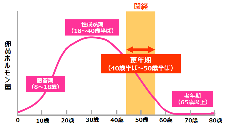 女性ホルモンの変化のグラフ